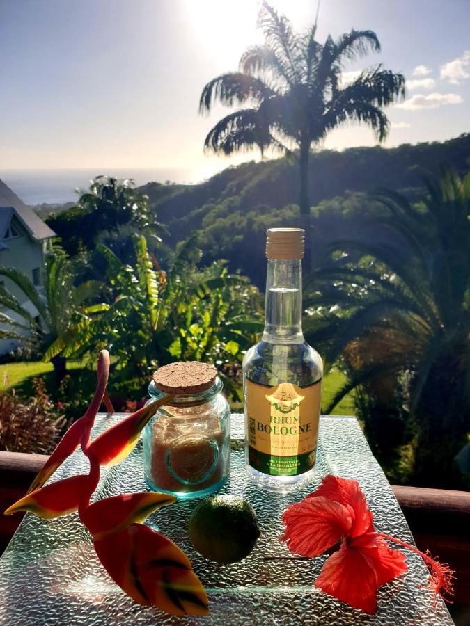 La Vieille Sucrerie: Caribbean View Spa Retreat Basse-Terre Exterior photo