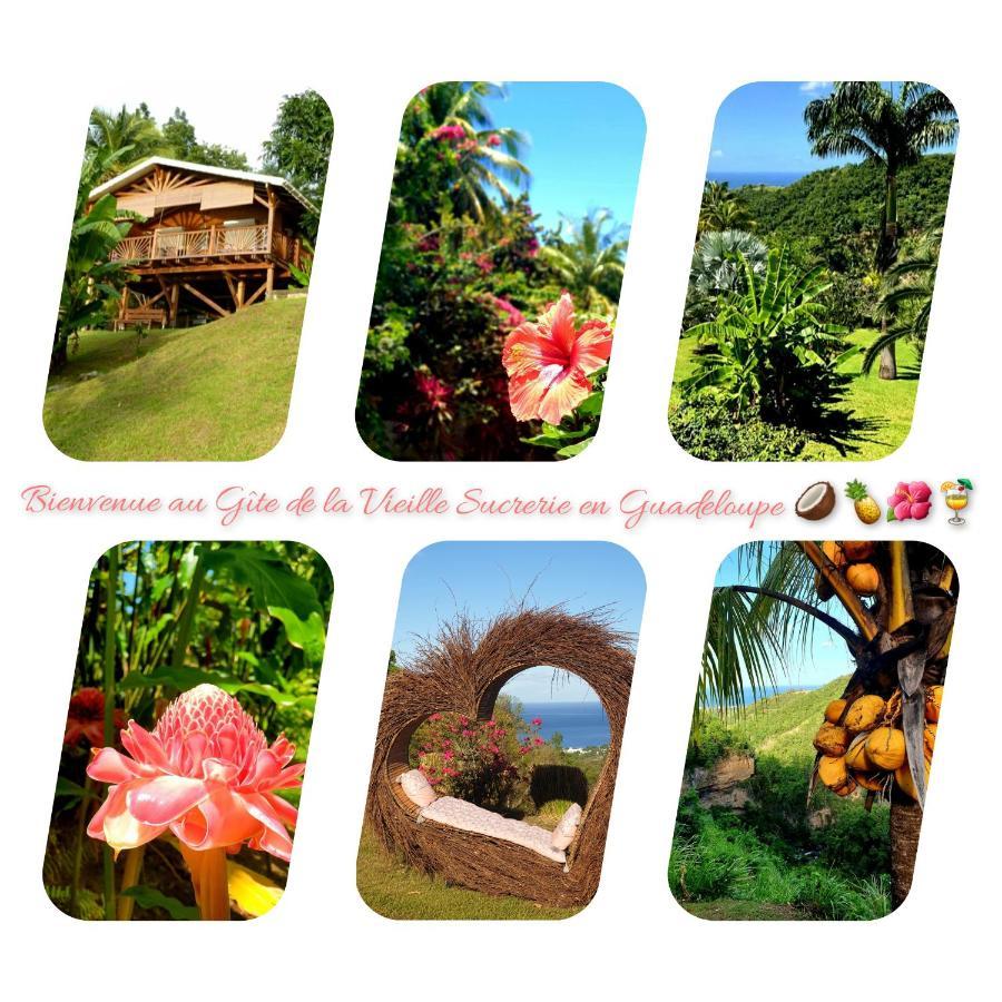 La Vieille Sucrerie: Caribbean View Spa Retreat Basse-Terre Exterior photo