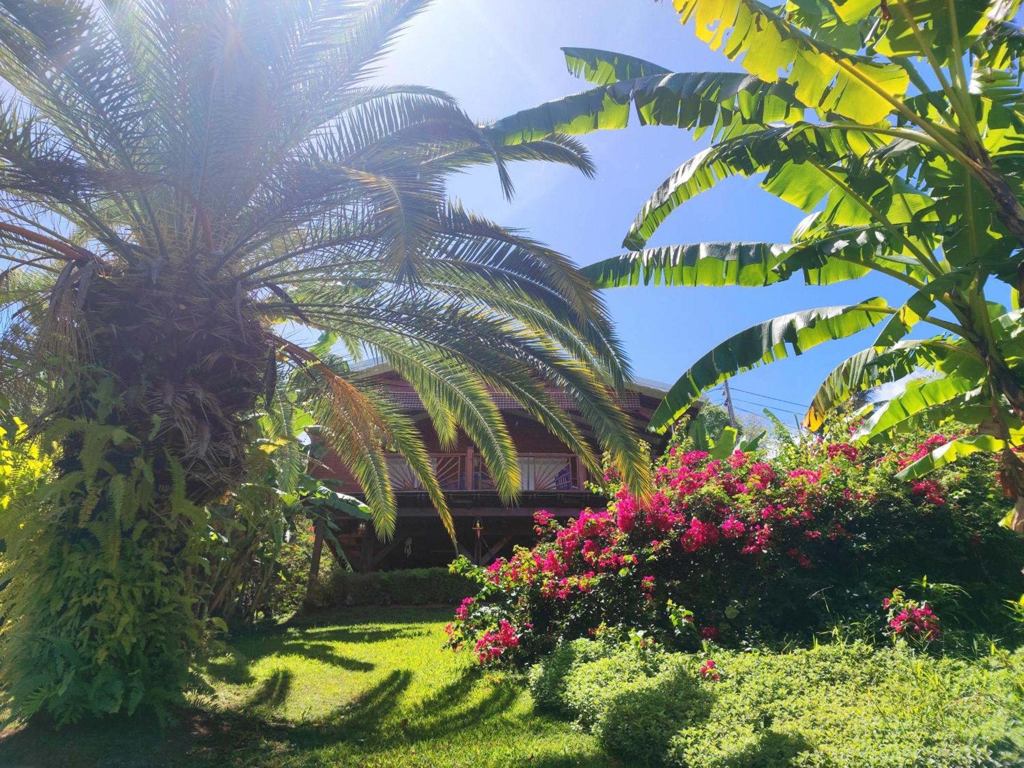 La Vieille Sucrerie: Caribbean View Spa Retreat Basse-Terre Exterior photo